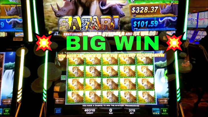Big 5 safari slot machine app play